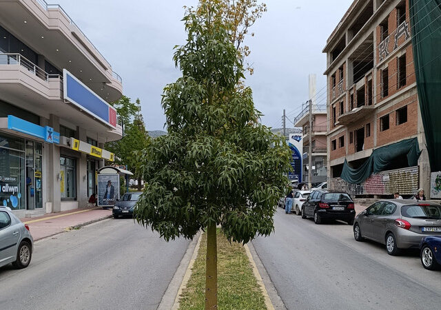 Ο N.O.E. κυκλοφόρησε νέο single με τίτλο «ΘΑΥΜΑΤΑ»